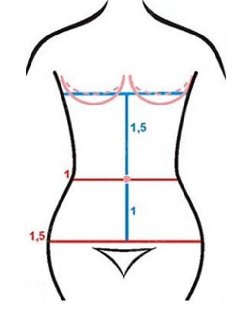 女生腹部画法图片