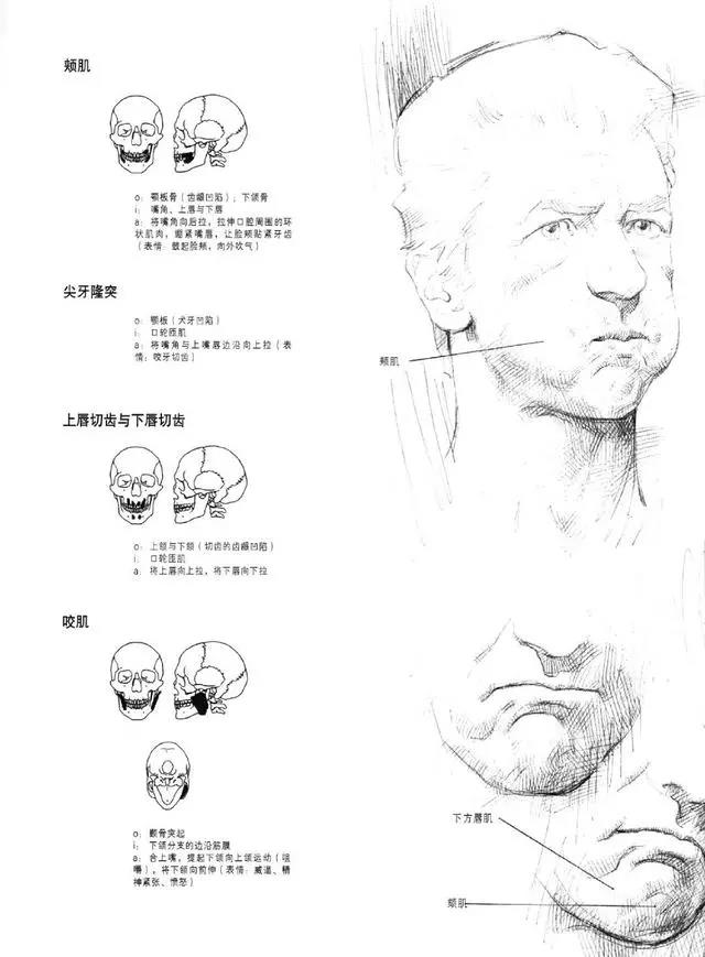 绘画基础知识：画素描有什么技巧？需要注意哪些点？