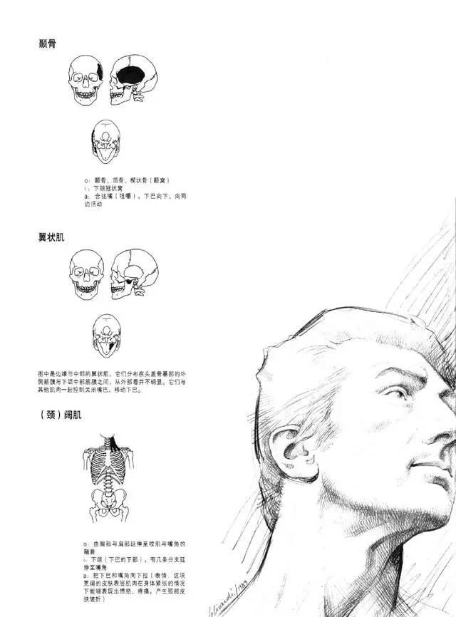 绘画基础知识：画素描有什么技巧？需要注意哪些点？