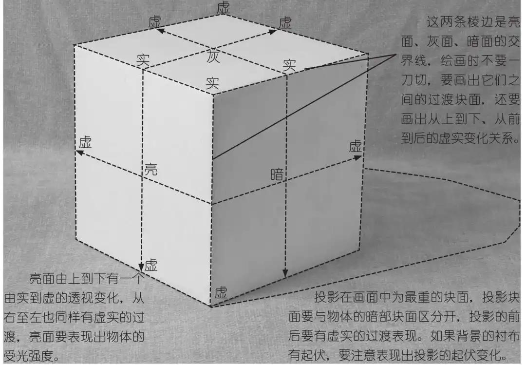 绘画基础知识：画素描有什么技巧？需要注意哪些点？