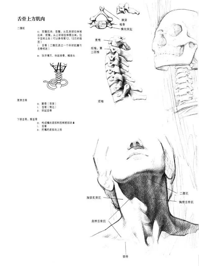 绘画基础知识：画素描有什么技巧？需要注意哪些点？